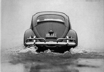 Beetle in flood