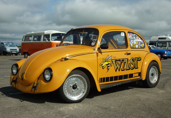 drag beetle main