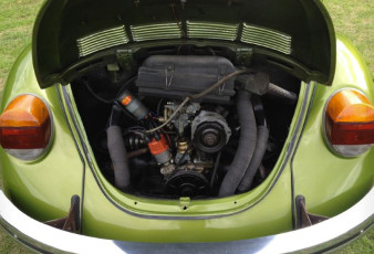 Beetle engine 230
