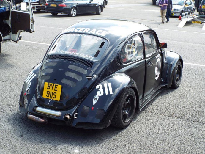  'Race Ace' Waterboxer Beetle