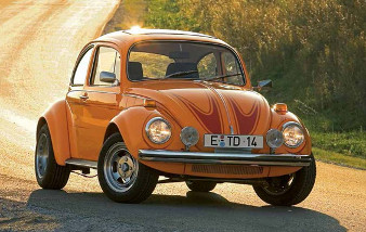 orange bug 214