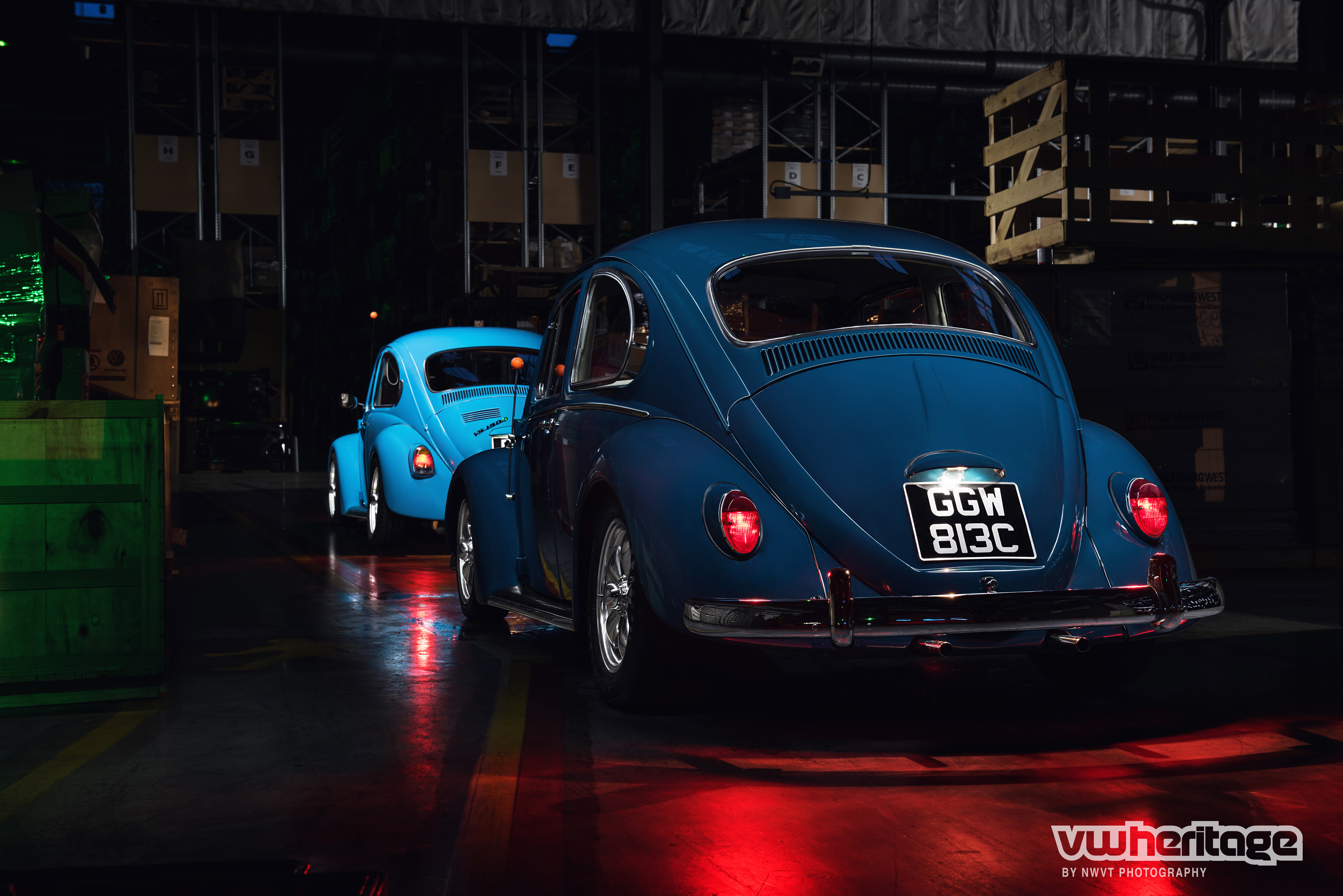 Beetle Blue Back 