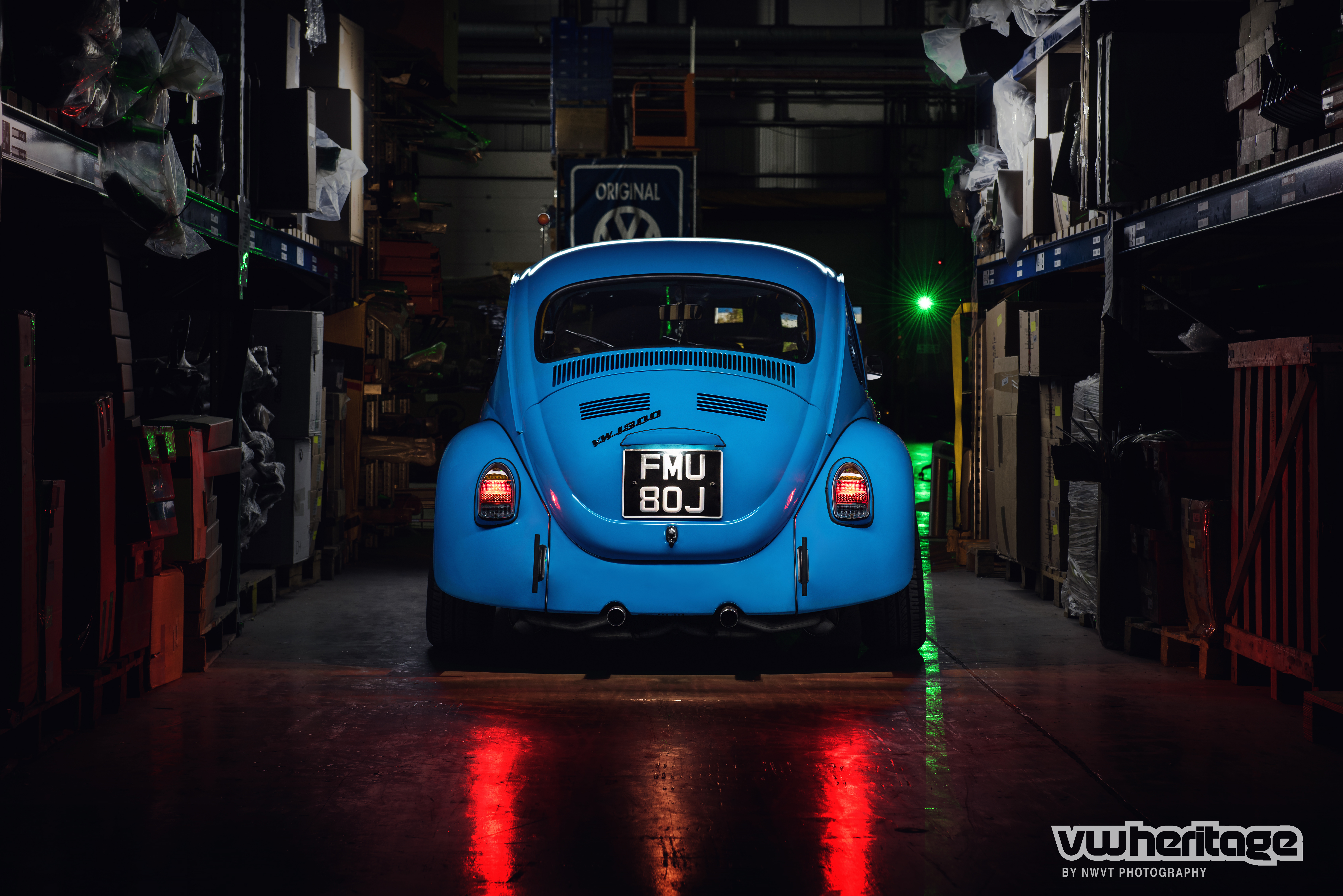 Beetle Blue Back