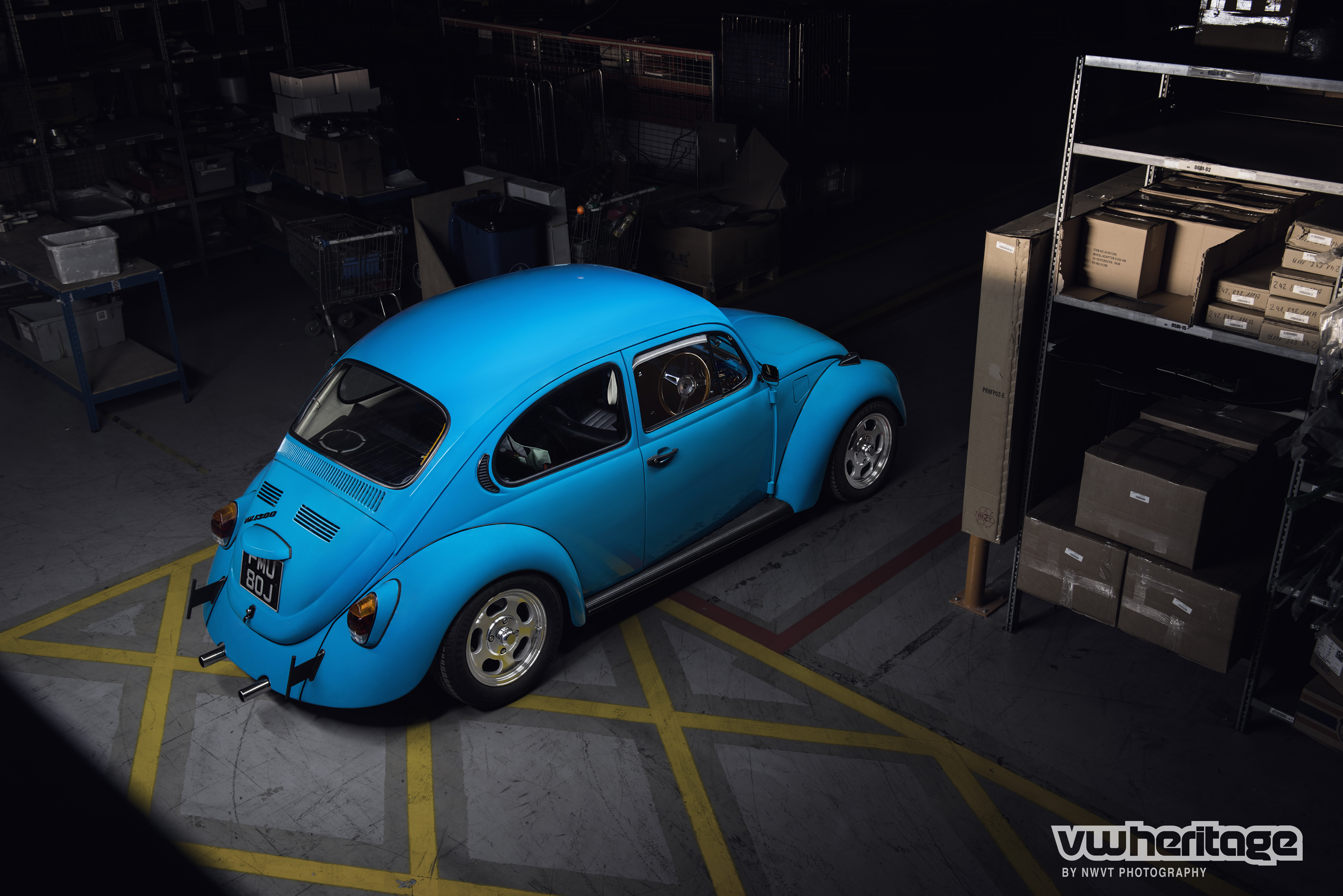 Beetle Blue BirdsEye