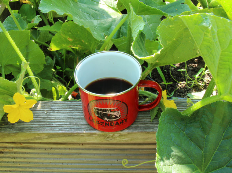 enamel mug